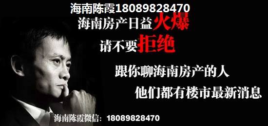 海南全年气候适合过冬的项目是哪里？